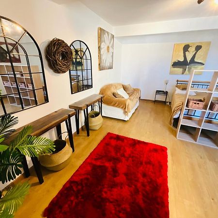 No 14 , 15 Meters Plein Centre Mirepoix Apartment Tres Calme Netflix ,Terrace Sleeps 4 70 M2 Eksteriør billede