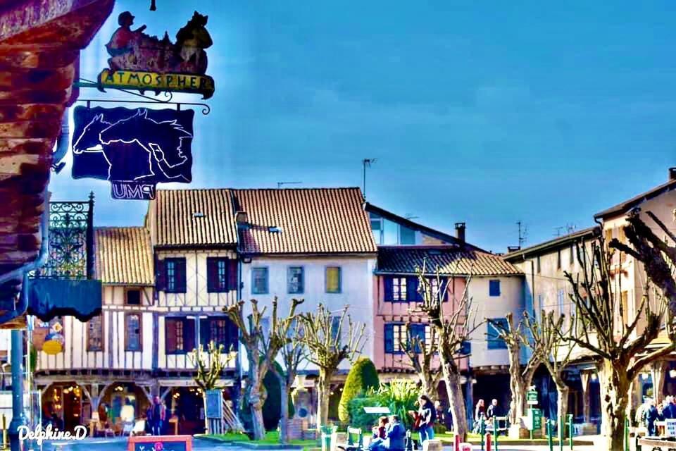 No 14 , 15 Meters Plein Centre Mirepoix Apartment Tres Calme Netflix ,Terrace Sleeps 4 70 M2 Eksteriør billede